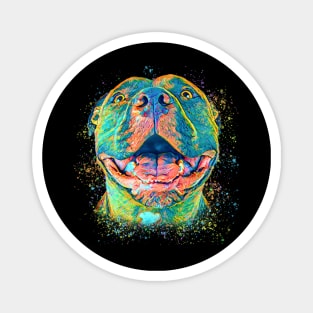 Colorful pitbull Magnet